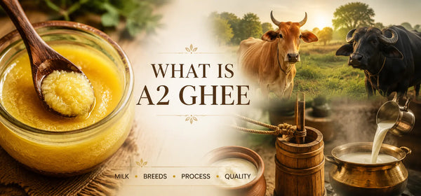 What is A2 Ghee? Understanding What Exists Beyond the Label