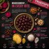 Urbana Superfoods Truepops Beetroot Pineapple Energy Balls