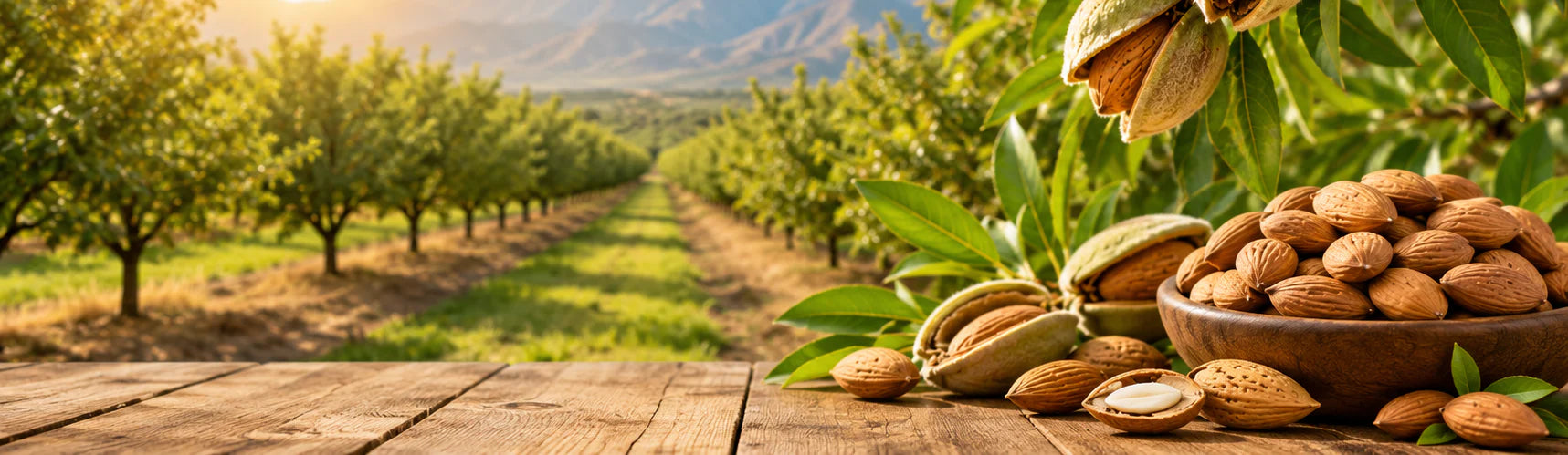 Buy Cold Pressed Sweet Almond Oil Online from Urbana Superfoods for Everyday Hair, Skin & Baby Massage Care.