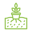 Plant Sterols