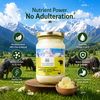 Best Buffalo Ghee in India – Grass-Fed Himalayan Bilona Ghee