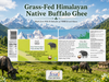 Best Buffalo Ghee in India – Grass-Fed Himalayan Bilona Ghee