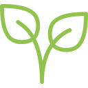 Plant Sterols