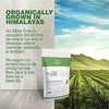 An image depicting Urbana Superfoods Barley Grass Powder with background visuals of green Himalayan fields. Text highlights “Organically Grown in Himalayas,” describing farming without chemicals, pesticides, or fertilizers, and commitment to fair pricing for farmers.