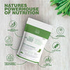 An image depicting Urbana Superfoods Barley Grass Powder with icons showcasing its nutritional strengths, rich in vitamin C, calcium, dietary fiber, plant protein, antioxidants, and essential minerals like copper and potassium. The caption reads “Nature’s Powerhouse of Nutrition.”