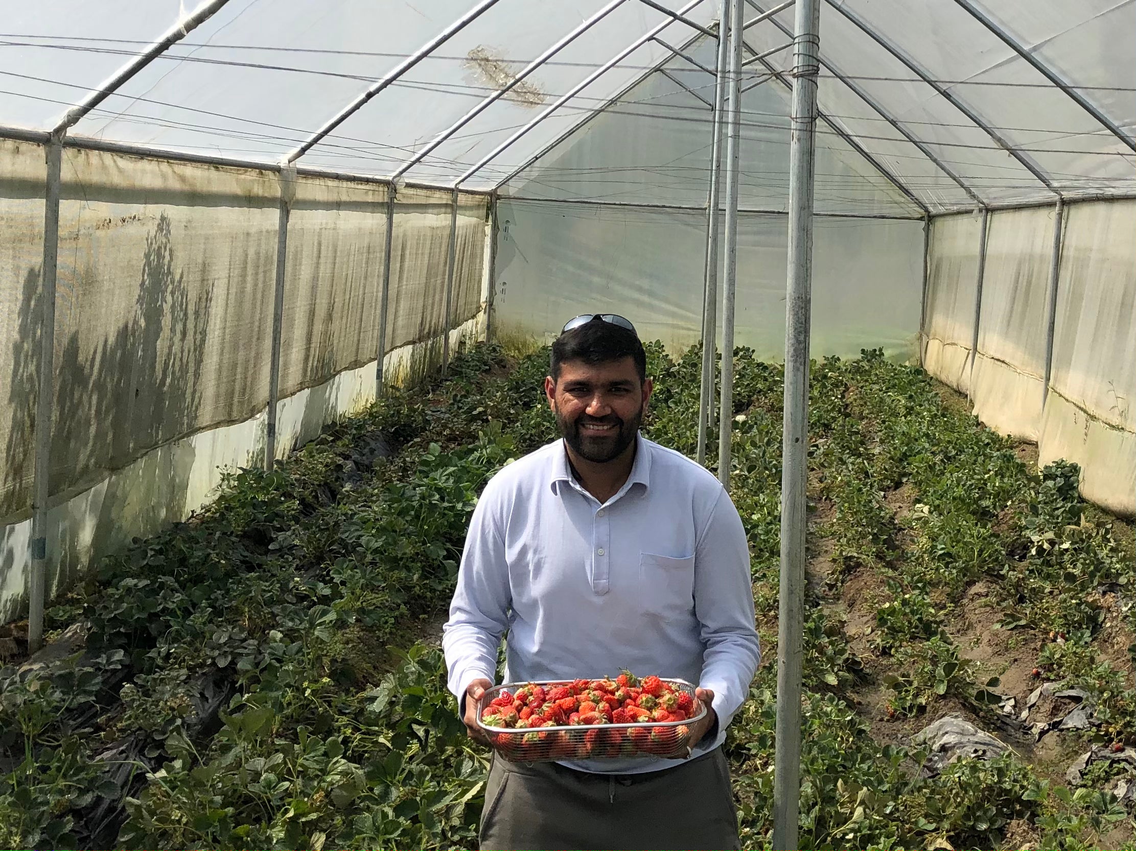 Bharat Budhiraja in his farm